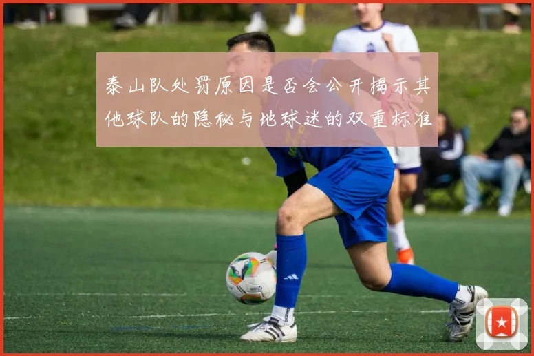 泰山队处罚原因是否会公开揭示其他球队的隐秘与地球迷的双重标准